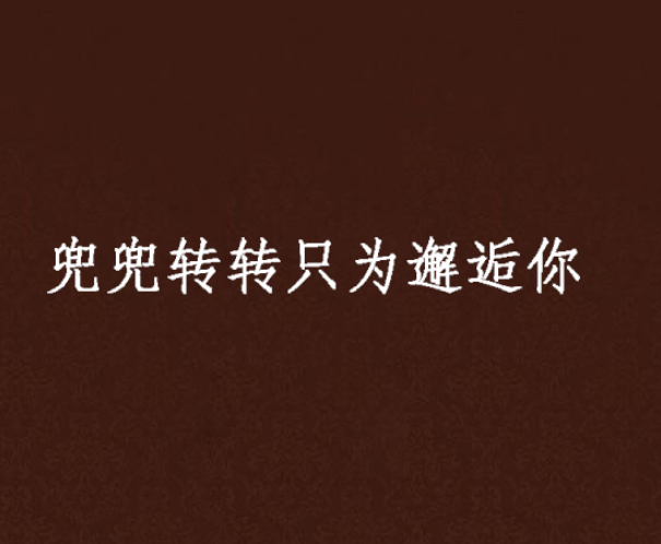 我只是想嫁给你一次。