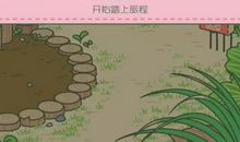 一只青蛙的自白