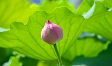 与众不同的成长