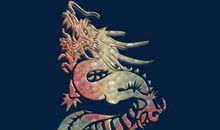 以龙的姿态腾飞