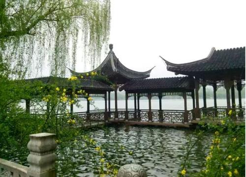 雨