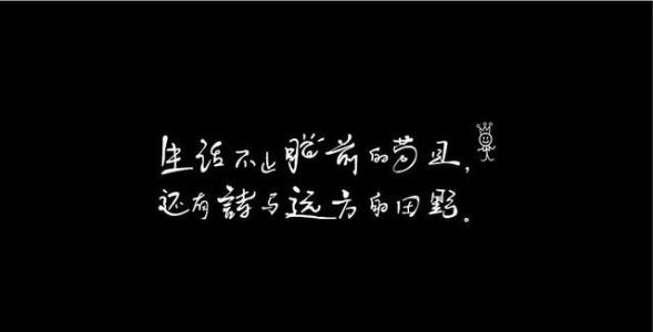 我年轻时会遇到诗歌