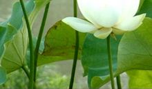 回首也是一种幸福