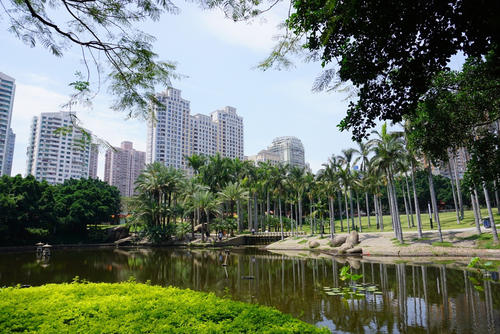 旅游莲花社区公园