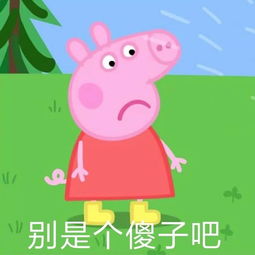 谁是傻瓜？