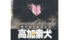 我相信勇气的力量