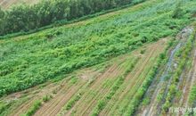 发现一条隐秘的河流