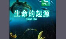 生命的来源