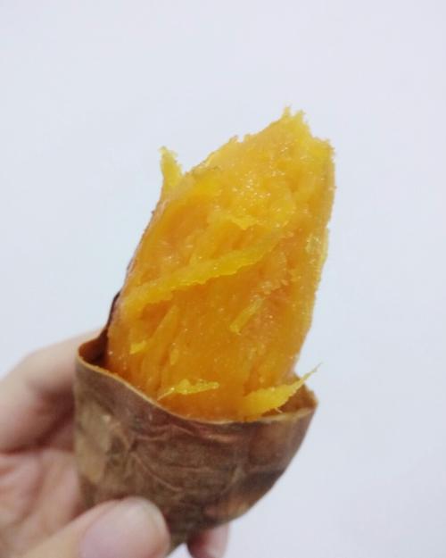 第一次咆哮