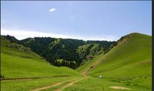 让我们为大地献上一片绿