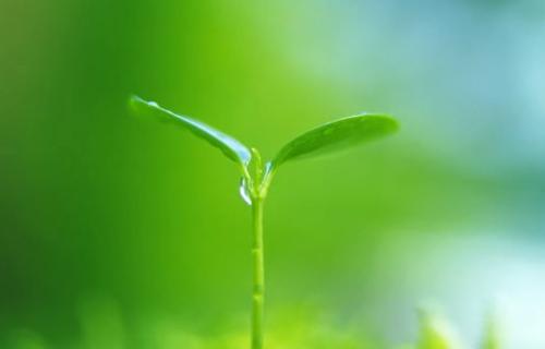 请相信微小生活的力量