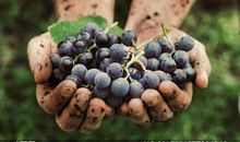 把时间握在手心