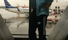 我相信植物的力量