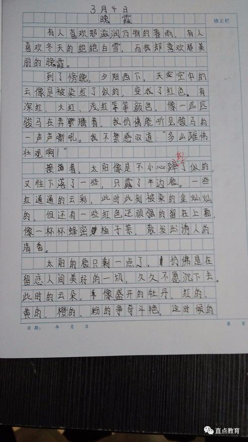 寻找美好的失踪组成