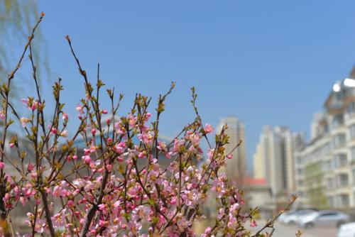 只要春天仍然存在