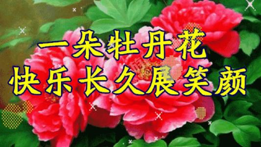 让鲜花自信