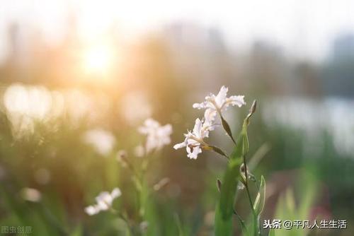 这也是一种幸福