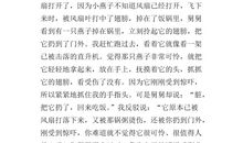 保护鸟类作文400字