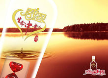 生命的意义感激