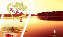 生命的意义在感恩中萌生