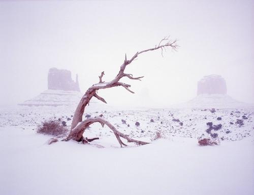 冬天雪触动我的心
