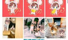 怕打雷的小飞侠