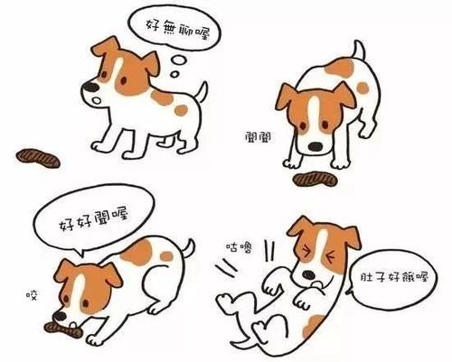 我知道我怎么来的