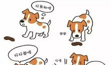 我知道我怎么来了