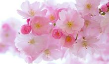 所有的心都向往温暖