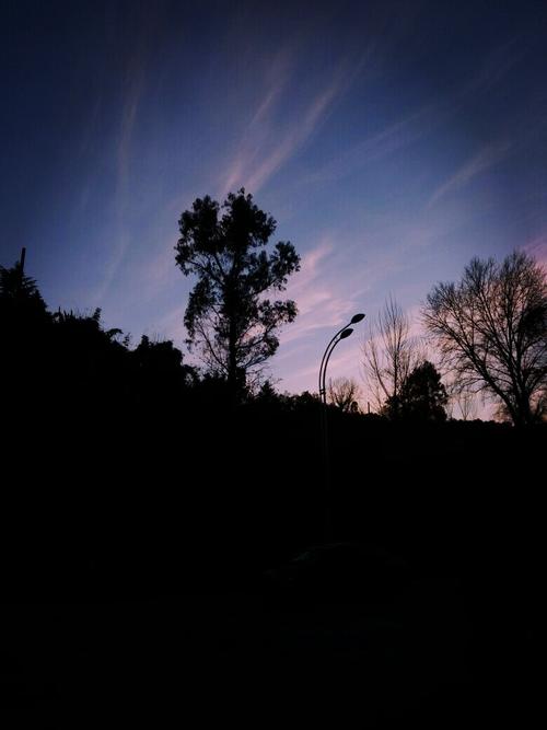 事实证明我很孤单