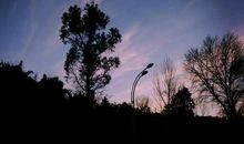 原来我是那么孤独