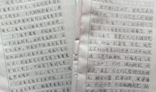 春天来到我们校园作文