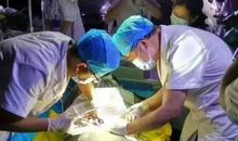 最不辞辛苦的人