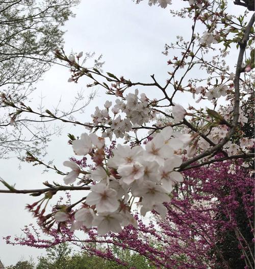 爱，保湿我的心