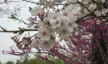 爱，滋润了我的心田