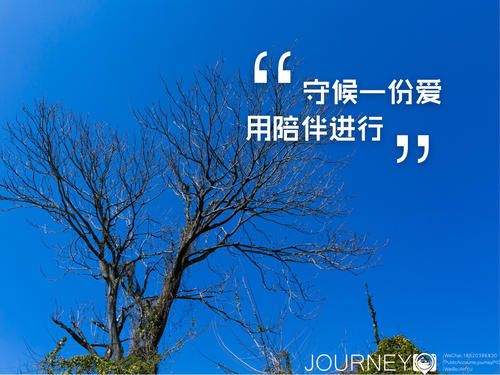 一颗树