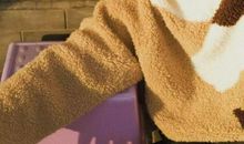 不曾停歇的青春