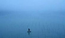 我们的必修课——孤独