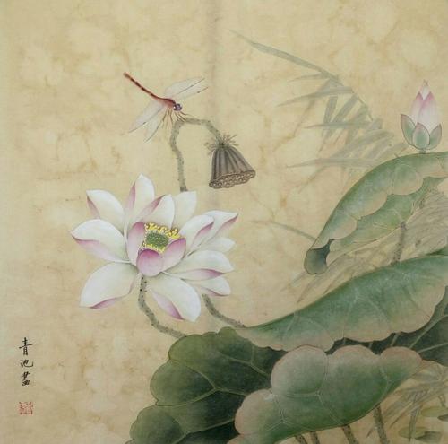 轻盈优雅