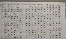 初二仿写灯笼的作文