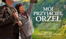 追鹰日记观后感