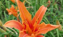 用心守候岁月静好