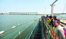 走进水厂，探访自来水的秘密