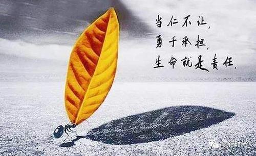 责任