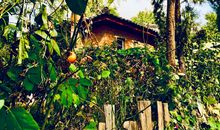 记忆深处的那片景