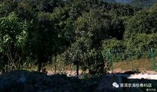 看这就是我的家乡