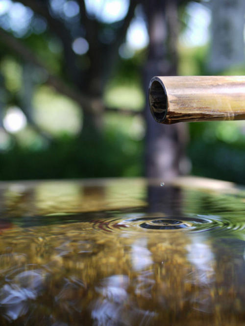 一滴水