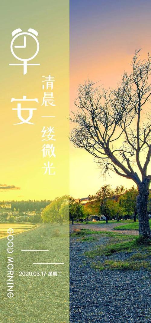 单独种植