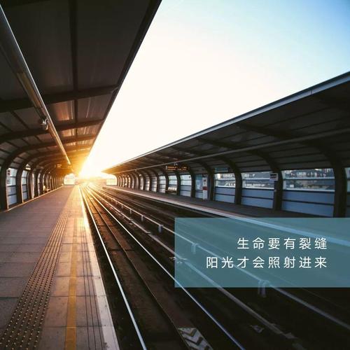 如果输了就赢