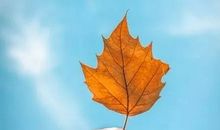 泪和失败，人生的点缀